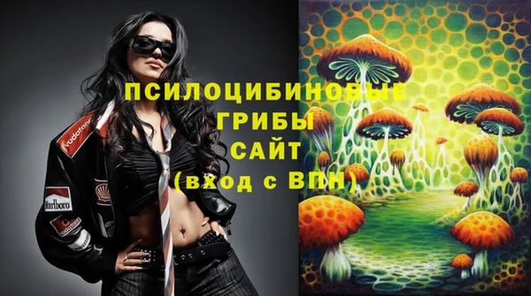 спиды Наволоки