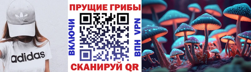 Галлюциногенные грибы Magic Shrooms  KRAKEN ONION  Рассказово  магазин  наркотиков 