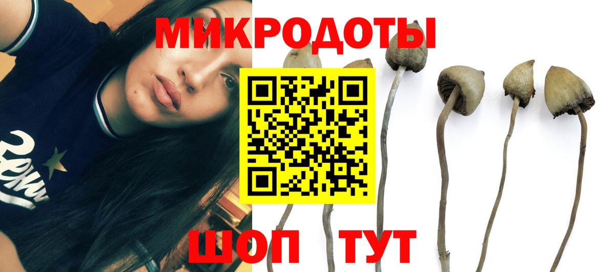 Галлюциногенные грибы мицелий  Вход с VPN  Рассказово  Псилоцибиновые грибы ЛСД 