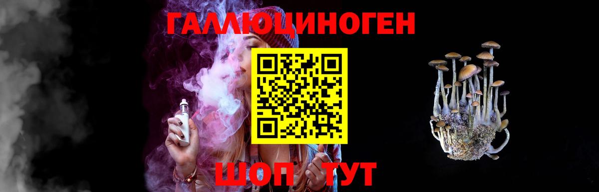 Галлюциногенные грибы Psilocybine cubensis  Рассказово  Галлюциногенные грибы Cubensis 