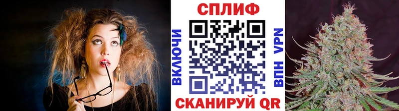 Бошки Шишки MAZAR Рассказово